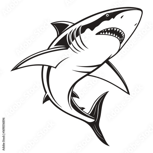 Aggressive shark illustration with open mouth and sharp teeth