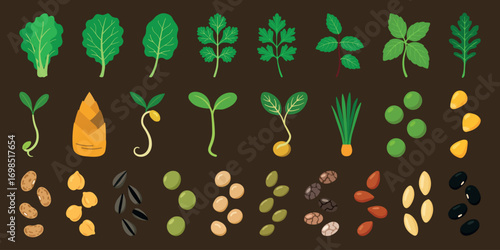 Vegetable and Herb Seed Icons Collection – Flat Design Sprouts, Beans, Leaves, and Grains Set