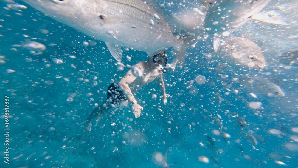 Fototapeta premium Snorkeler among fish and bubbles in blue sea, Isla de Lobos