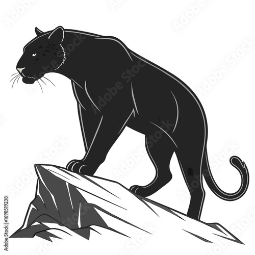 Black panther standing on rocky outcrop