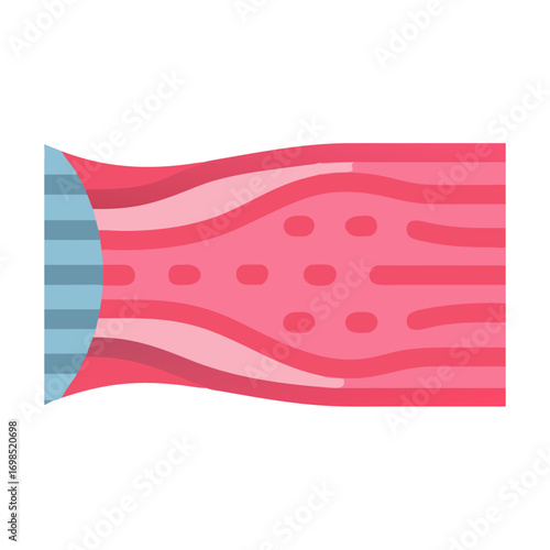 Stylized Muscle Tissue Structure with Tapered End Illustration