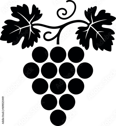 Silhouette of a grape bunch on a vine