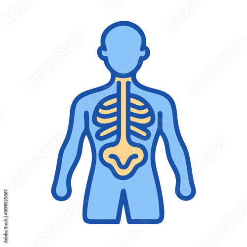 Human anatomy icon showing the respiratory system visually