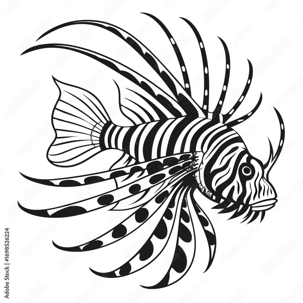 Fototapeta premium Black and white illustration of a lionfish with distinctive fins and stripes