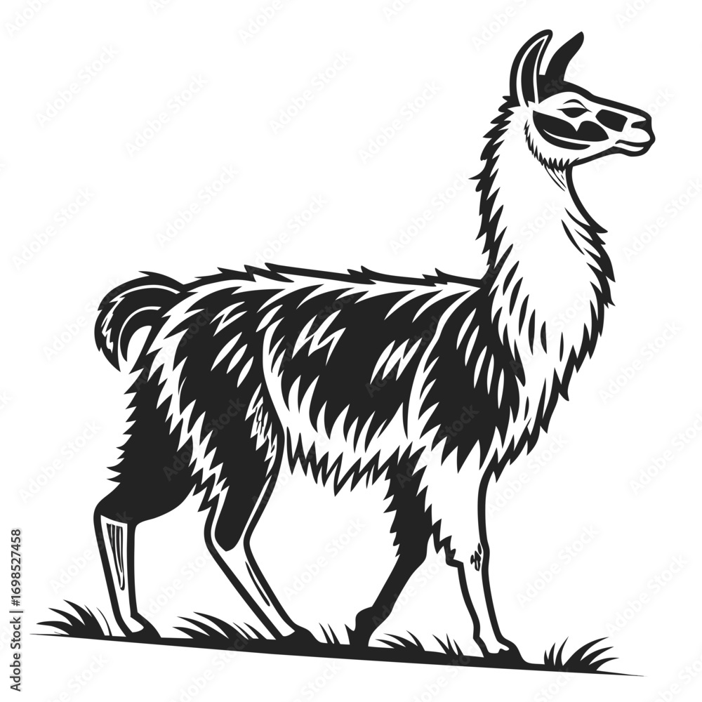 Fototapeta premium Stylized black and white llama standing on grass