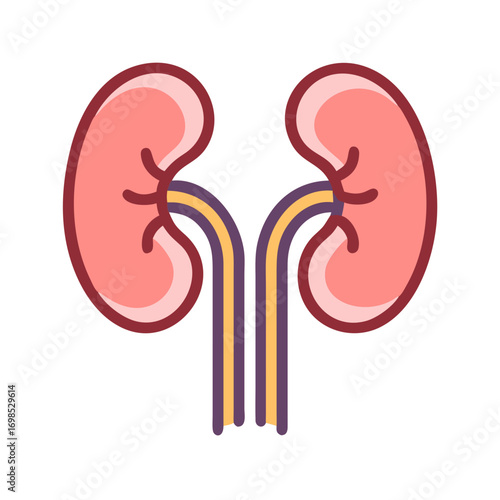 Illustration of two human kidneys on a black background