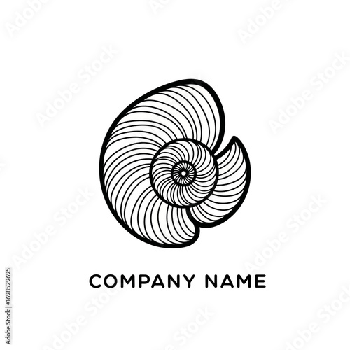 Elegant black and white spiral shell line art design illustration.