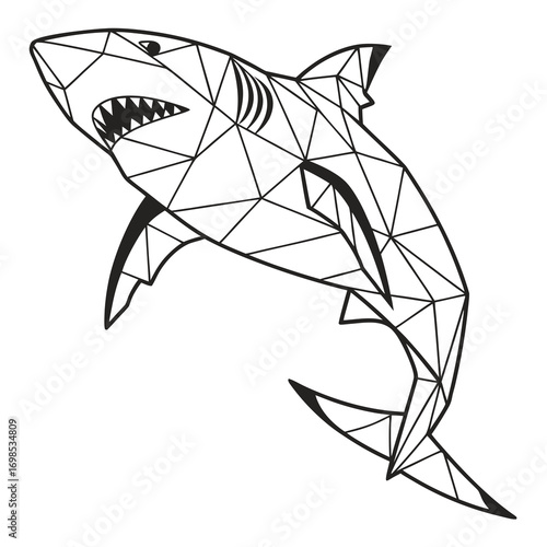 Geometric Shark Design