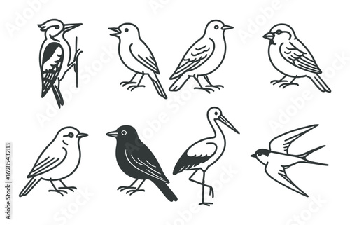 Silhouette collection of diverse bird species on gradient background