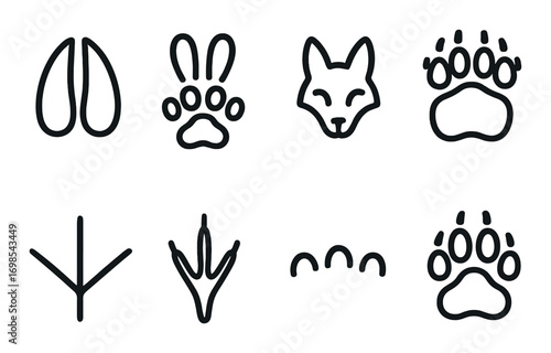 Animal track shapes collection on dark background