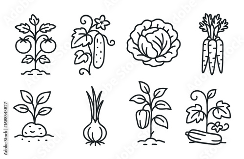 Vegetable icons: tomatoes, cucumber, cabbage, carrot, potato, onion, pepper, zucchini