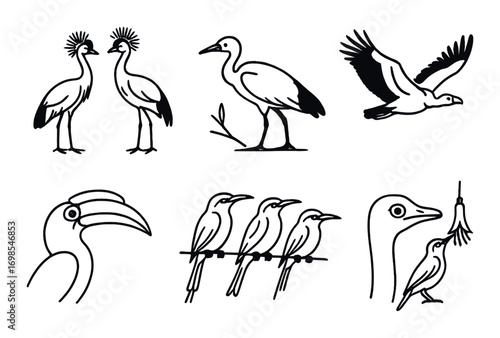 Set of stylized bird illustrations featuring cranes, eagles, and toucans