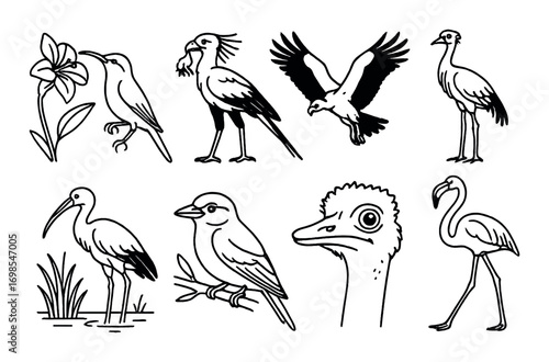 Diverse bird outlines: cranes, flamingo, ostrich, and more