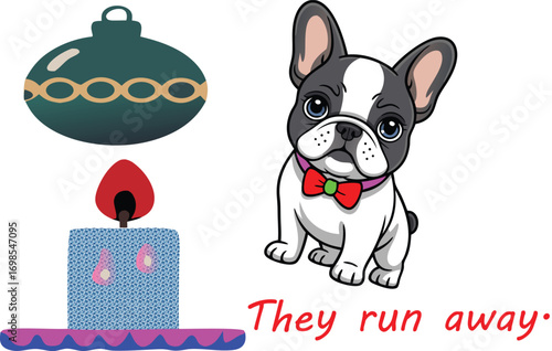 A funny purebred French bulldog puppy poses with a birthday cake on a white background