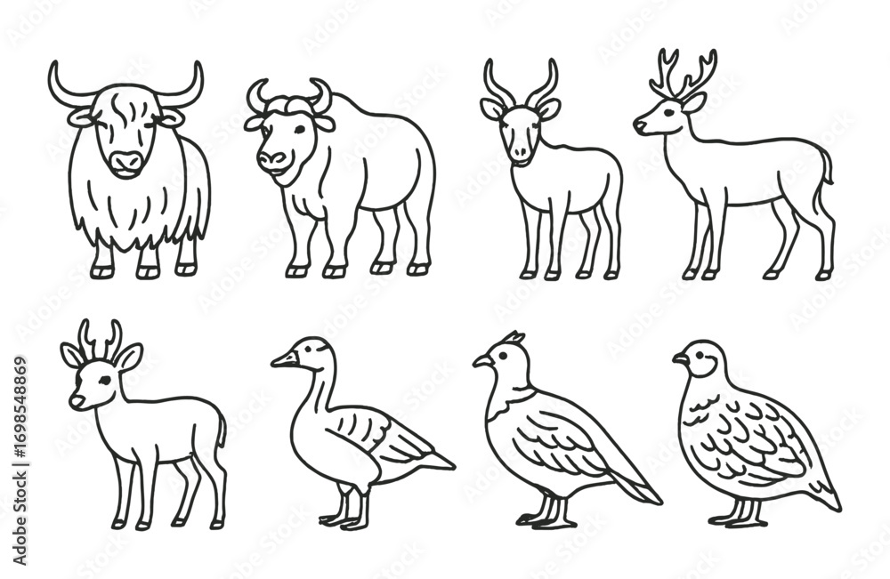 Fototapeta premium Collection of outlined animals including deer, bovines, birds, and other wildlife