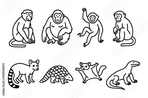 Illustrated monkeys and various exotic animals on brown background