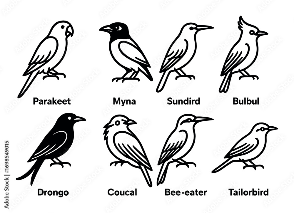 Fototapeta premium Illustrated bird icons featuring parakeet, myna, sunbird, bulbul, and more