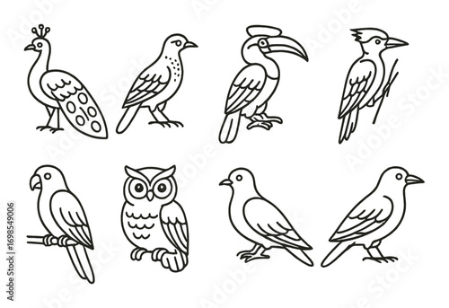Outlined bird icons on textured background: peacock, owl, parrot, dove, woodpecker, hornbill