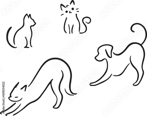 vector illustration of a cat
