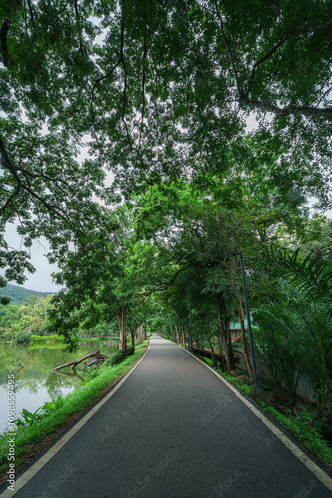 Obraz premium landscape lake views at Ang Kaew Chiang Mai University in nature forest Mountain atmosphere rain fog sky abstract with white clouds. cloudy sky background