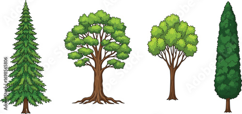 Cad drawing flat vector illustration of four different tree types, coniferous, deciduous, evergreen, detailed foliage, nature biodiversity, isolated on white background