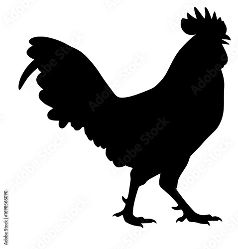 Black Rooster Silhouette Isolated on White Background