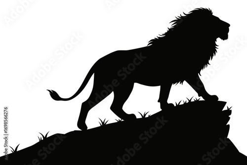 Majestic lion silhouette standing proudly on a rocky outcrop