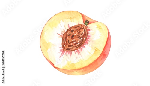 Watercolor peach slice with pit, an invitation to savor summer's sweetness