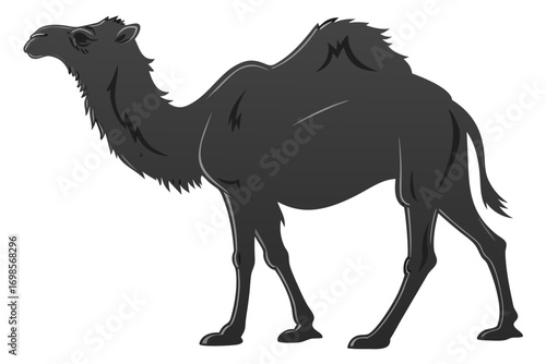 Silhouette of a dromedary camel standing against a white background