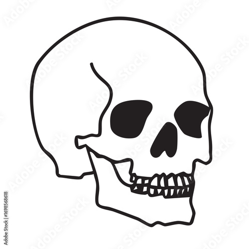 Hand drawn vector doodle of a Halloween skull