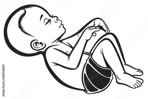 Stylized line art illustration of a newborn baby in a fetal position