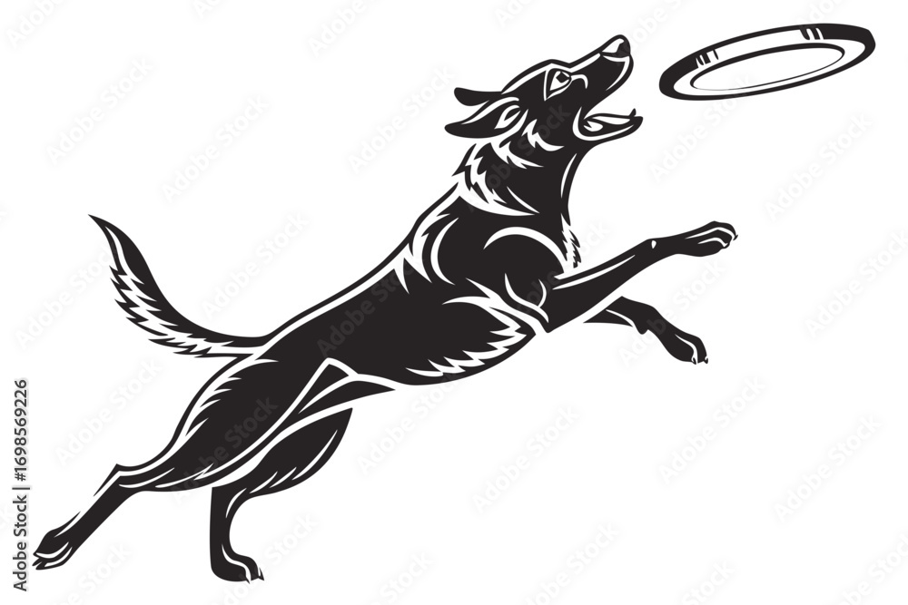 Fototapeta premium Energetic dog leaping to catch a flying disc