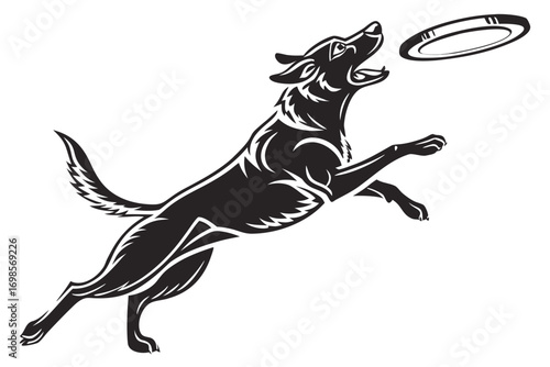 Energetic dog leaping to catch a flying disc