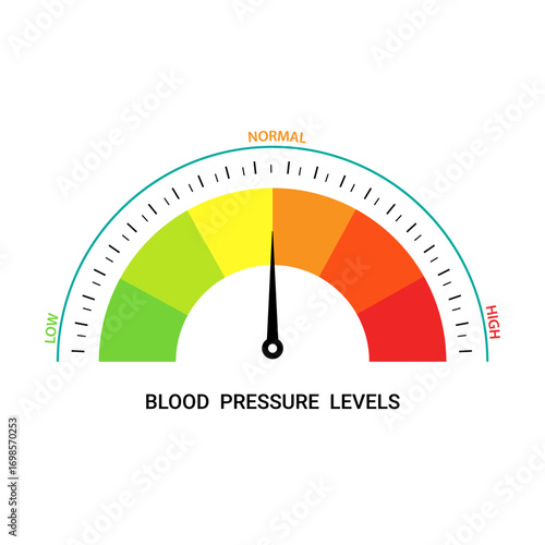 Infographic blood pressure meters with low, normal, and high level results, hypertension. Indicator gauge with color scale and arrow showing blood pressure levels
