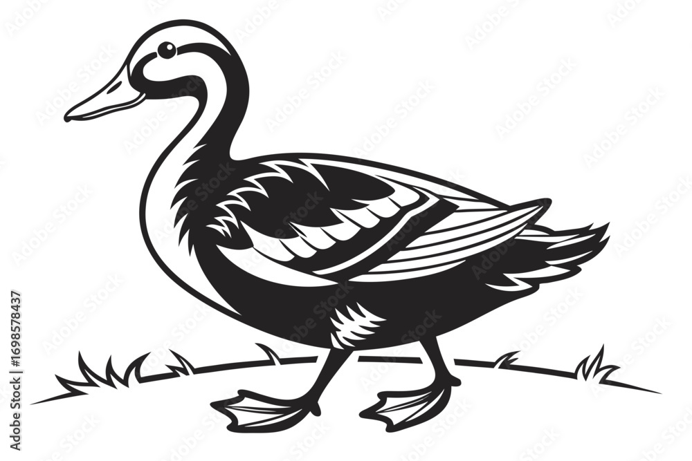 Fototapeta premium Stylized black and white duck walking on grass