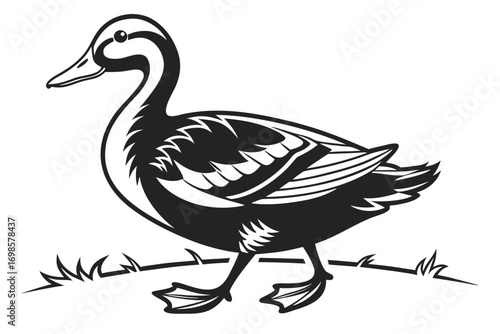 Stylized black and white duck walking on grass