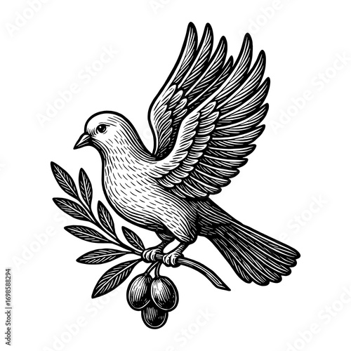 A dove carrying an olive branch, symbolizing peace, purity, and the good news of hope