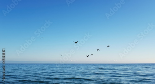 Seabirds flying over ocean water