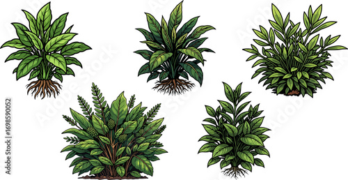 Stylish vector illustration of decorative house plants in pots, perfect for home