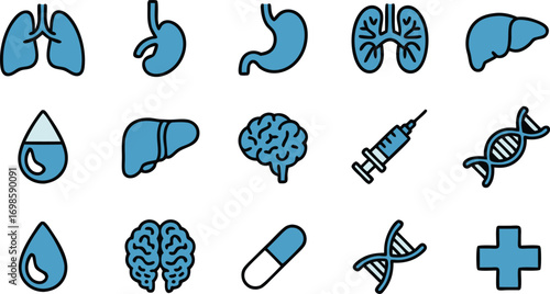 Collection of human internal organs isolated on white background for medical use 