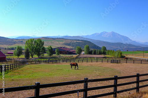Horse grazing on ranch