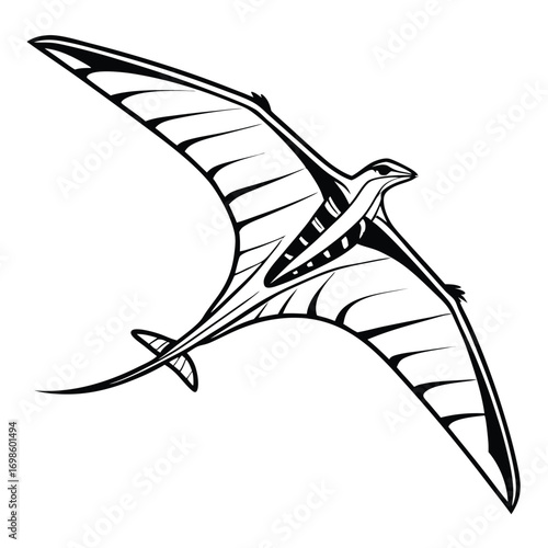 Monochrome Pterodactyl Illustration with Bold Outline a Prehistoric Marvel in Flight Detailed Wing Structure and Elongated Body Defining Ancient Elegance