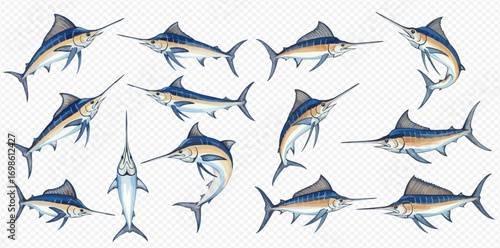 Collection of blue marlin fish illustrations in various poses and angles on a transparent background.