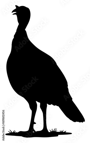 Wild Turkey Bird Silhouette, Black Isolated on White