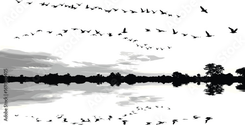 Flying birds over lake, tree silhouette reflection, nature landscape, peaceful sky, bird migration, sunset horizon, scenic water view, tranquil scene.