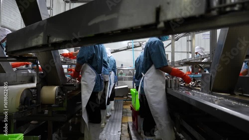 Factory Food Production Line: Workers in a food processing plant meticulously work on a conveyor belt, ensuring quality and hygiene in the mass production of food items.