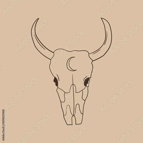 Bull skull with horns. Vector hand drawn line illustration in mystical, boho style. Western wild aesthetic