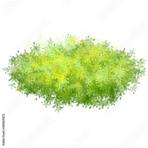 Green grass mound, shrubs illustration