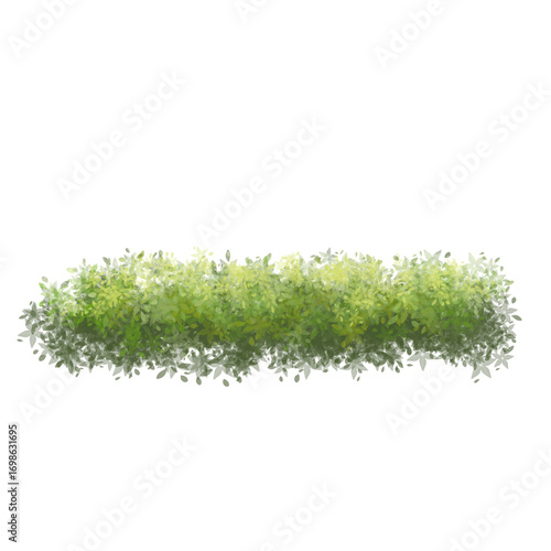 Green grass mound, shrubs illustration