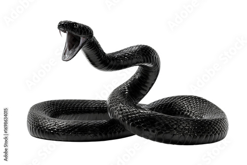 black snake with open mouth and full body  transparent background, png file with white borders around it